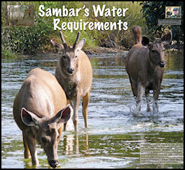 Sambars Water Requirements - page 58 Issue 69 (click the pic for an enlarged view)